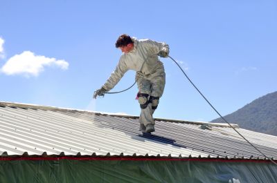 Metal Roof Painting Service